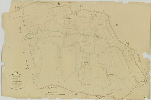 Condal - MONTGARDON
