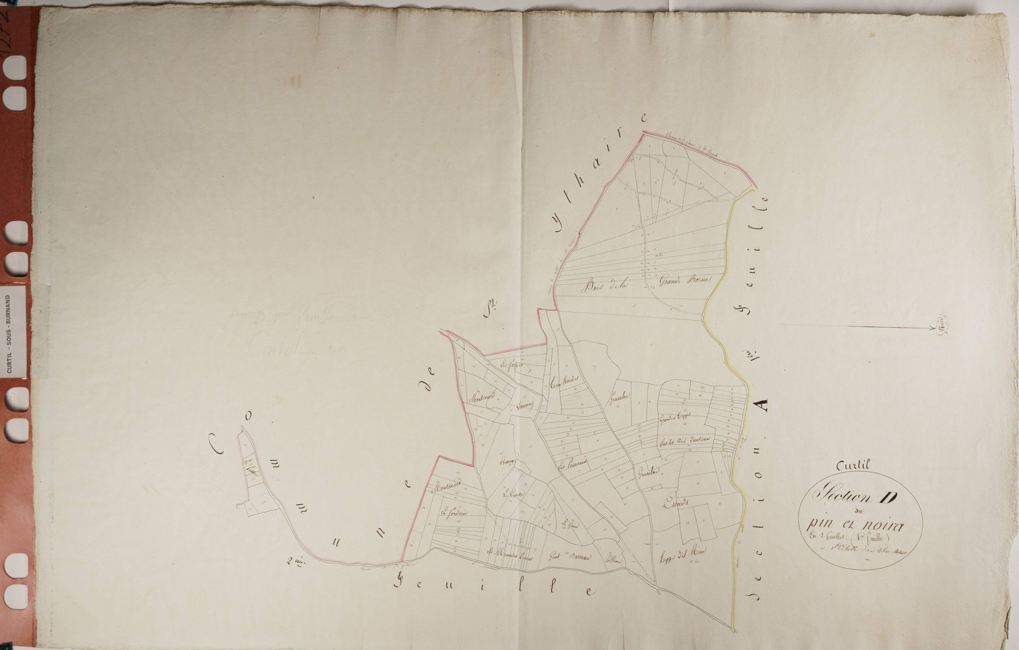 Curtil-sous-Burnand - LE PIN DE MOIRA