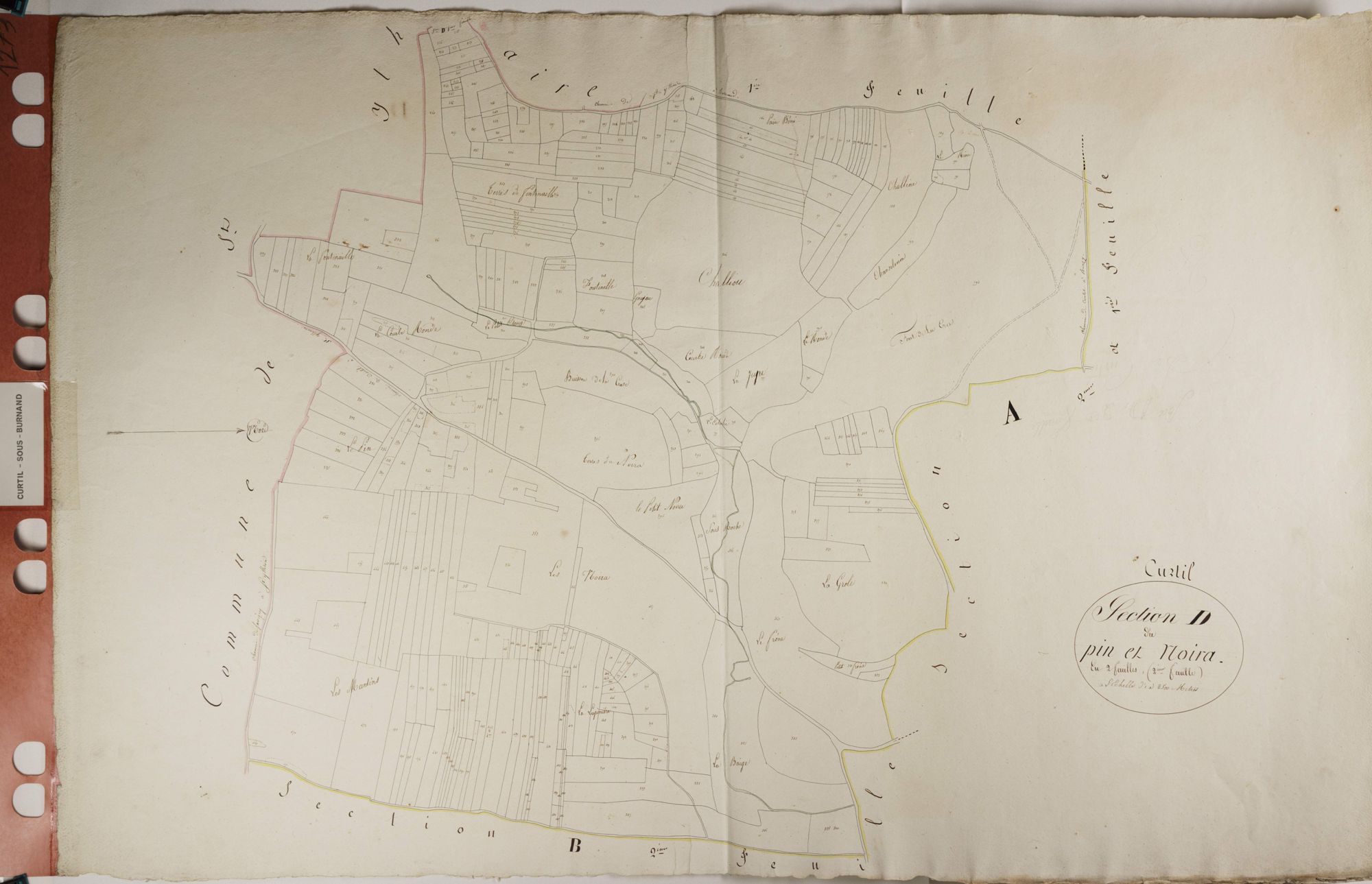 Curtil-sous-Burnand - LE PIN DE MOIRA