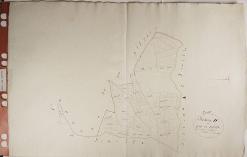 Curtil-sous-Burnand - LE PIN DE MOIRA