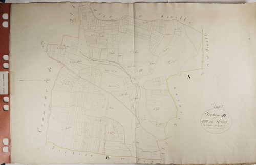 Curtil-sous-Burnand - LE PIN DE MOIRA
