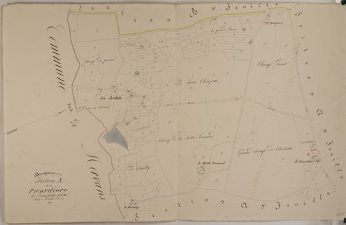 Dampierre-en-Bresse - LA PICARDIÈRE