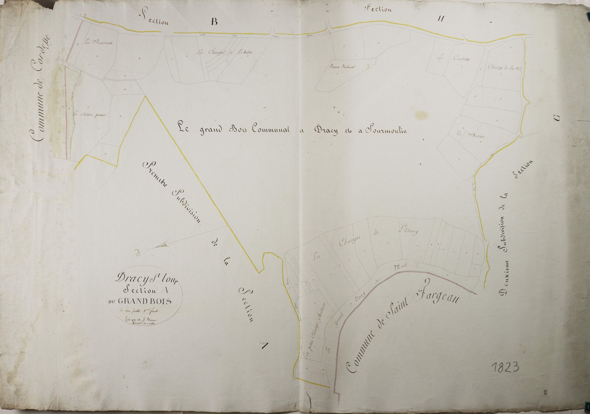 Dracy-Saint-Loup - LE GRAND BOIS