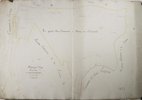 Dracy-Saint-Loup - LE GRAND BOIS