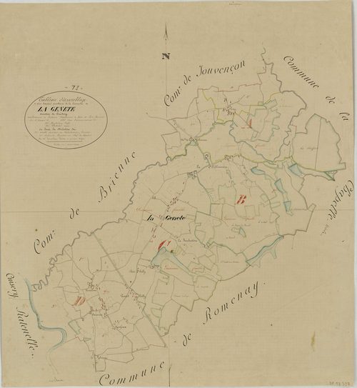 Genête - Toutes sections