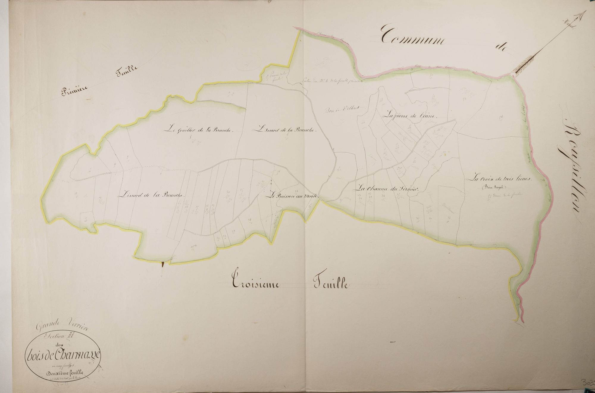 Grande-Verrière - LES BOIS DE CHARMASSE