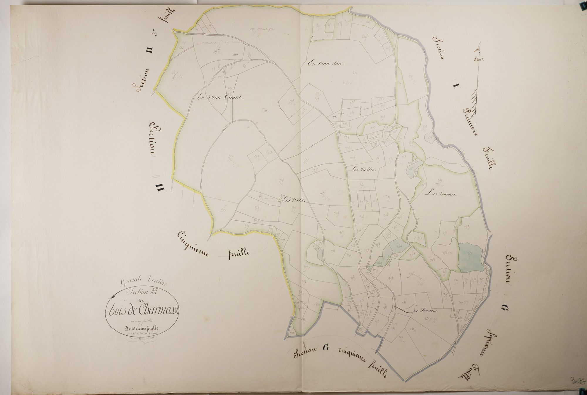 Grande-Verrière - LES BOIS DE CHARMASSE