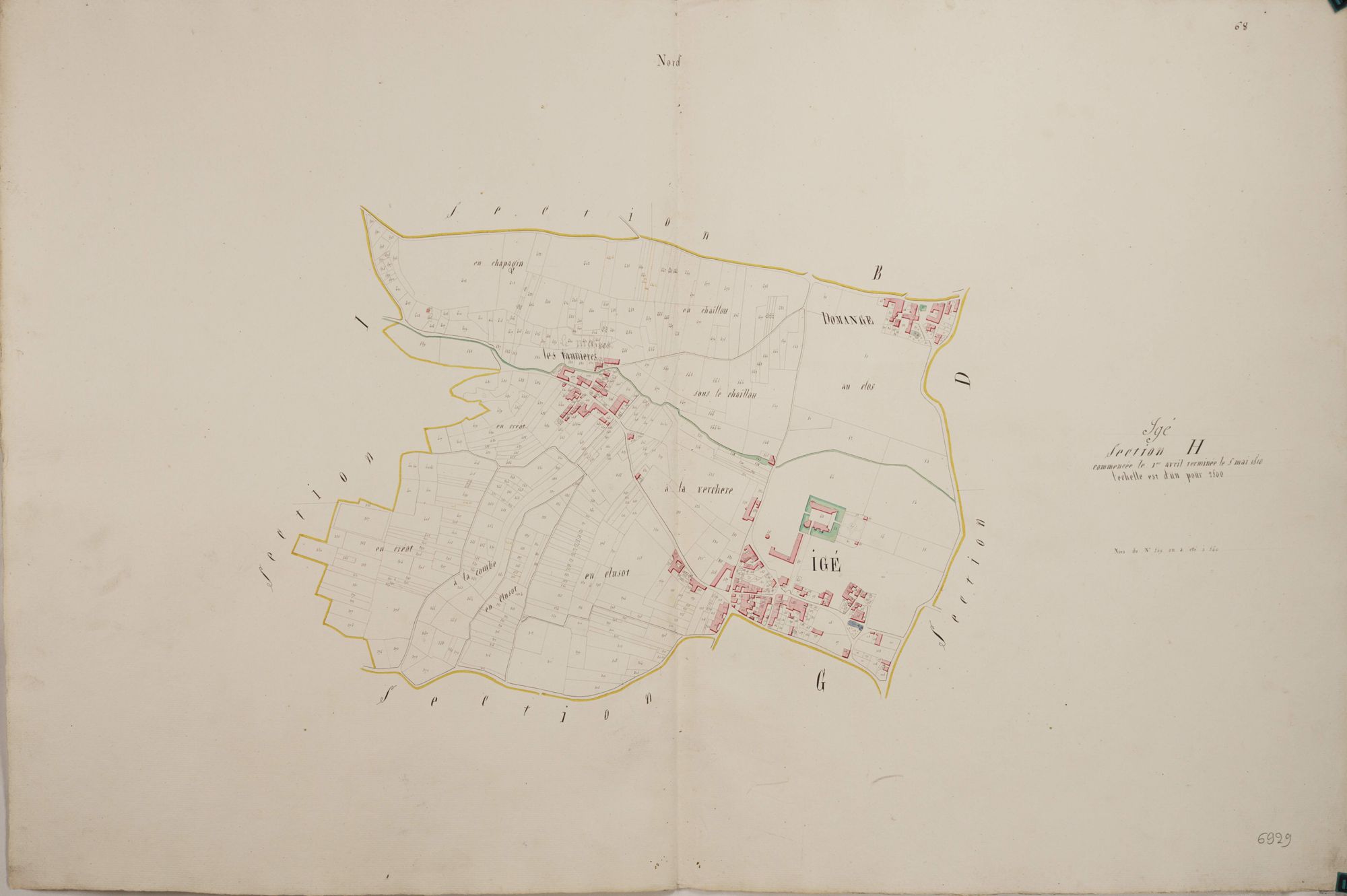 Igé - H1