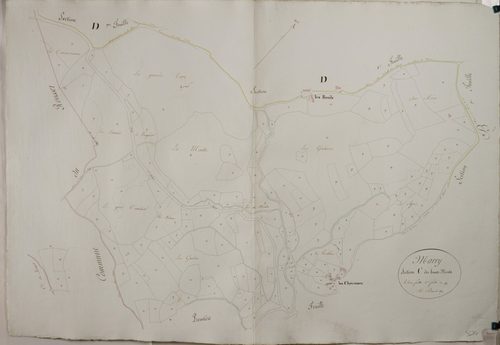 Mary - LES HAUTS MONTS