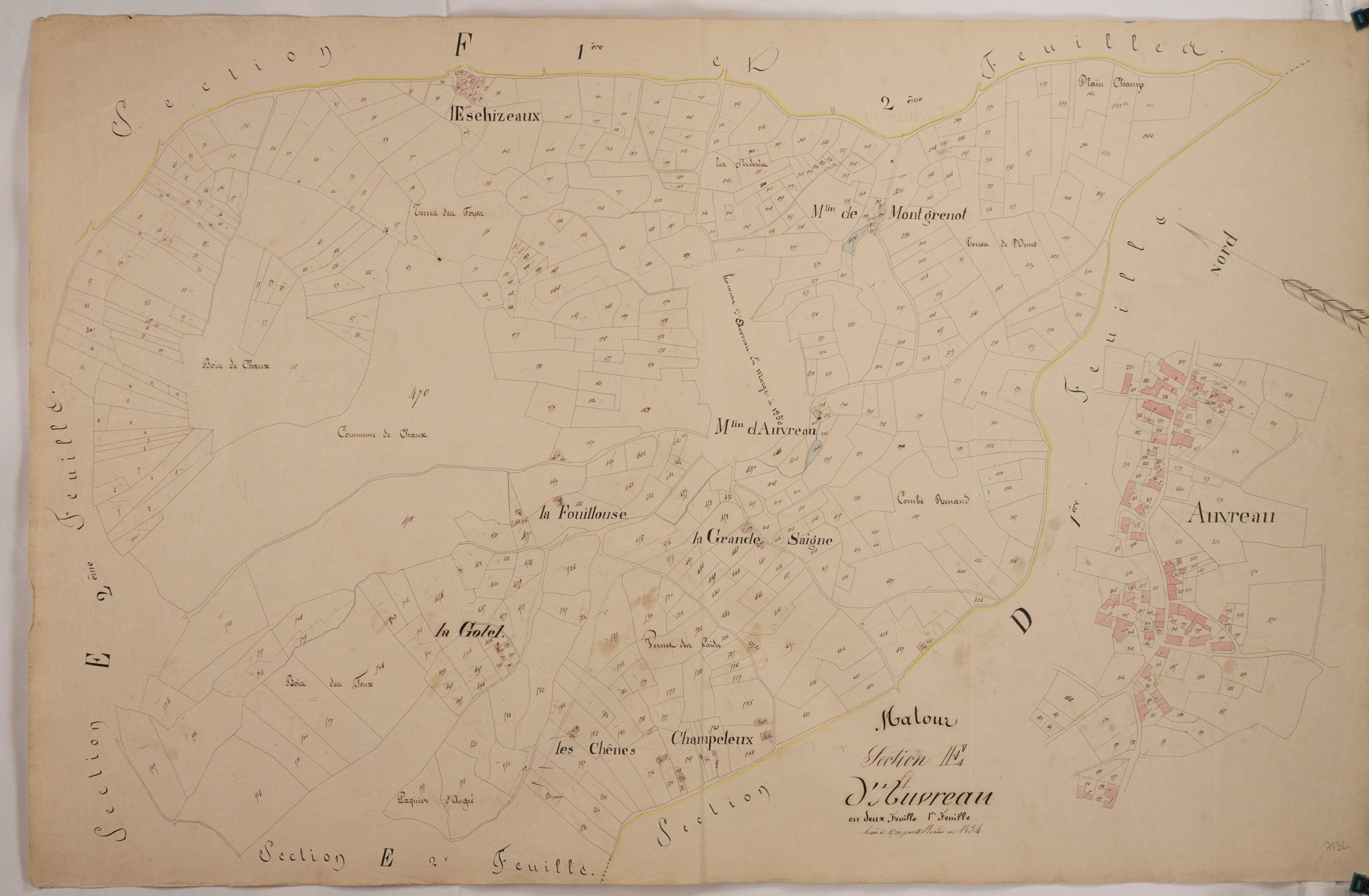 Matour - AUVREAU