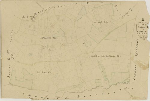 Melay - LAPILLONNE