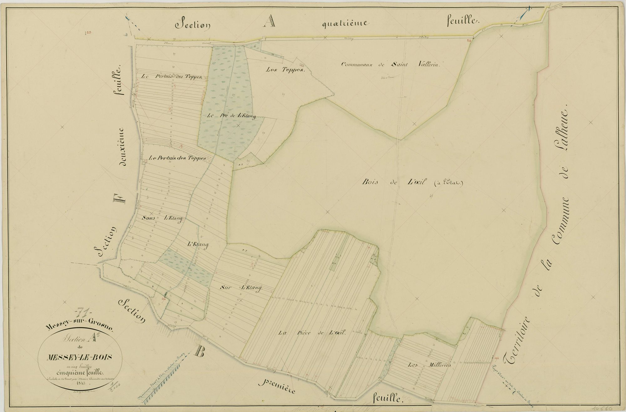 Messey-sur-Grosne - MESSEY-LE-BOIS