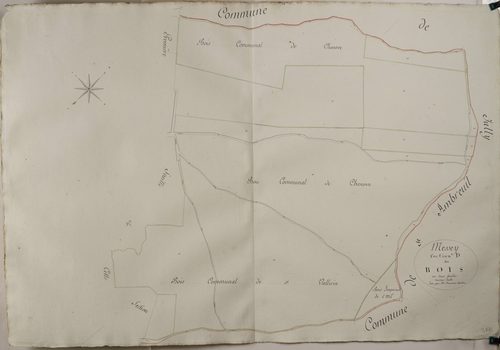 Messey-sur-Grosne - LES BOIS