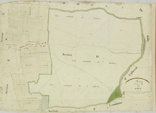 Messey-sur-Grosne - LES BOIS