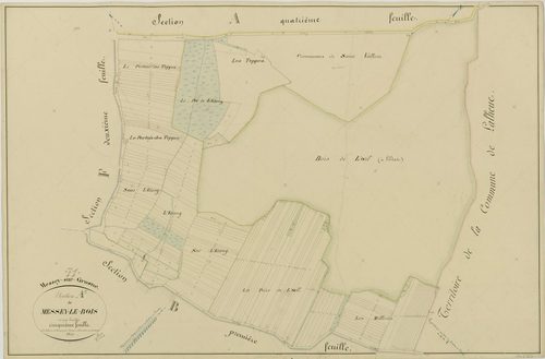 Messey-sur-Grosne - MESSEY-LE-BOIS