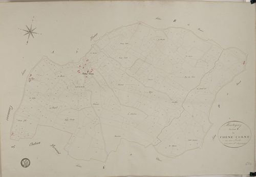 Montagny-près-Louhans - LE CHENE-CORNU