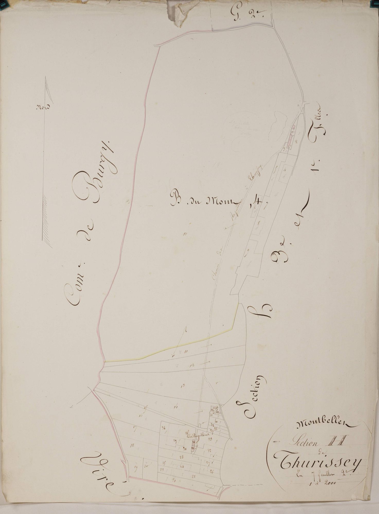 Montbellet - THURISSEY
