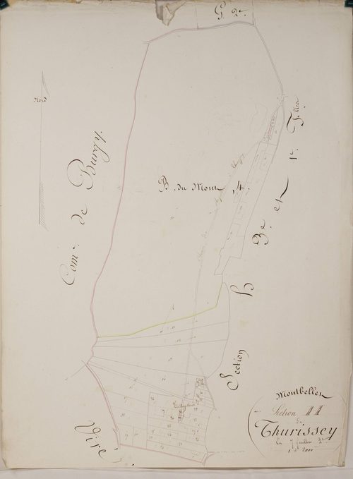 Montbellet - THURISSEY