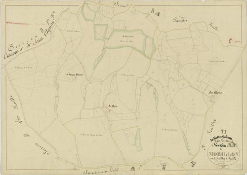 Motte-Saint-Jean - MORILLON