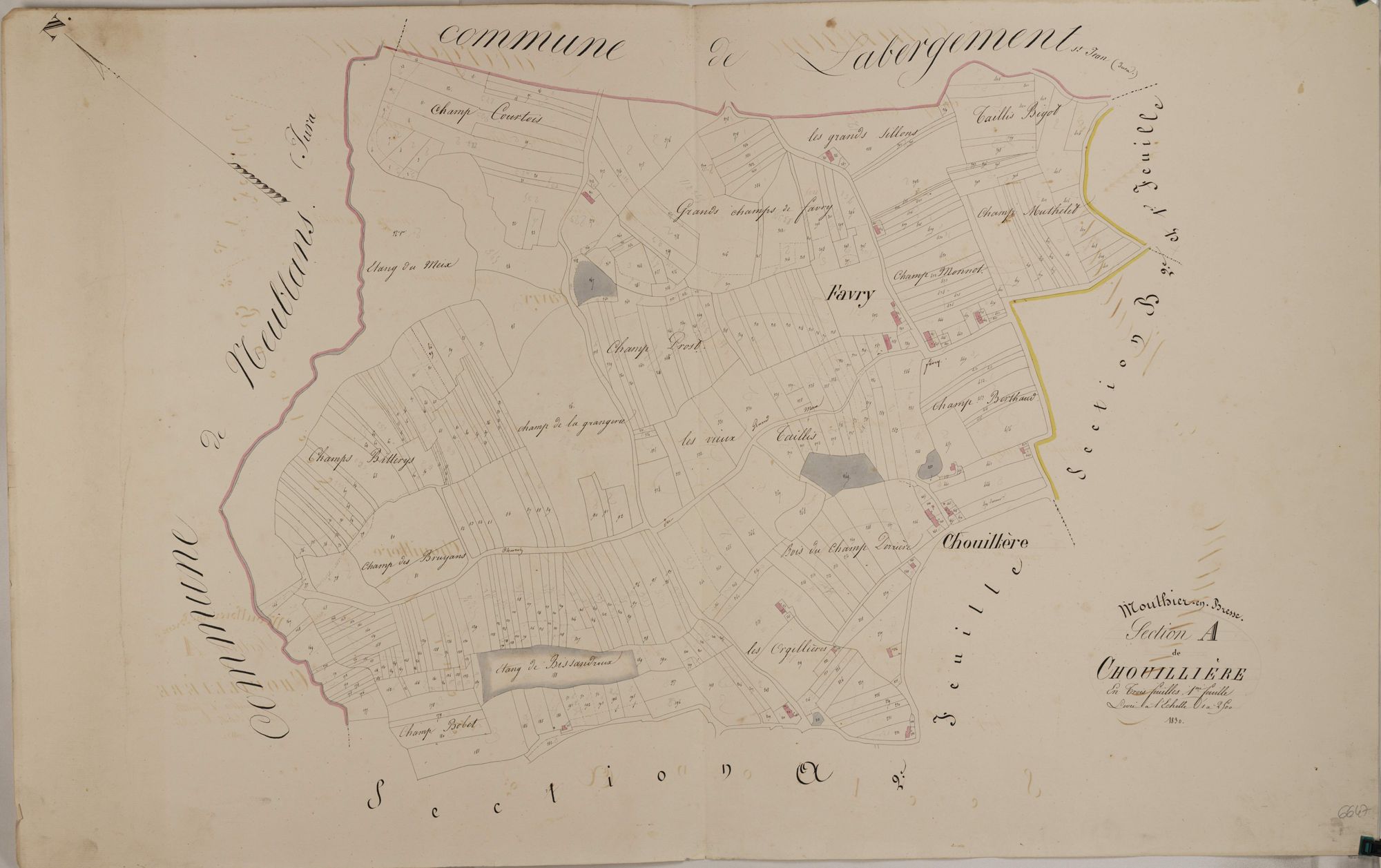 Mouthier-en-Bresse - CHOUILLIÈRE