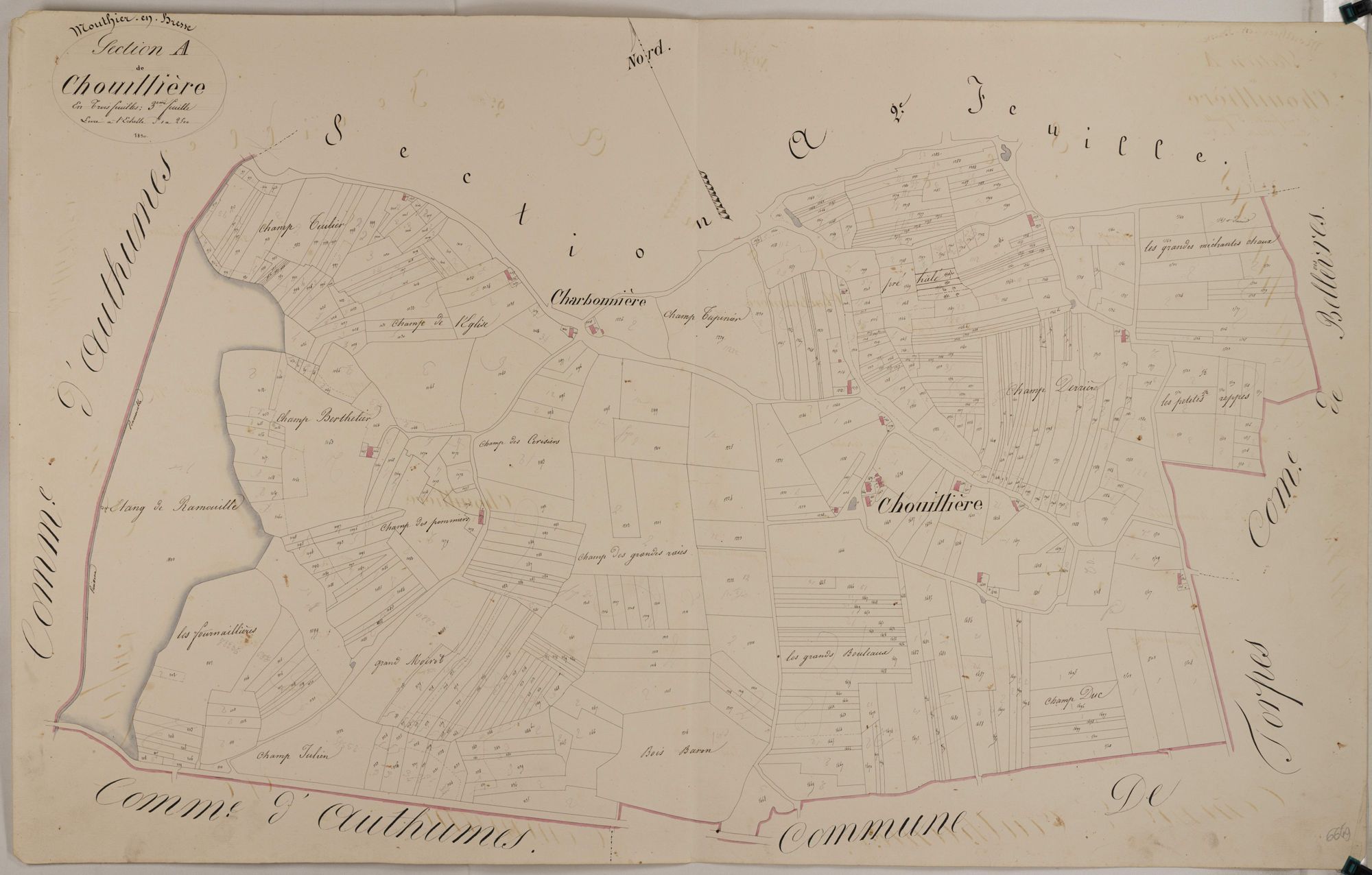 Mouthier-en-Bresse - CHOUILLIÈRE