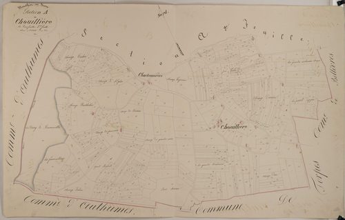 Mouthier-en-Bresse - CHOUILLIÈRE