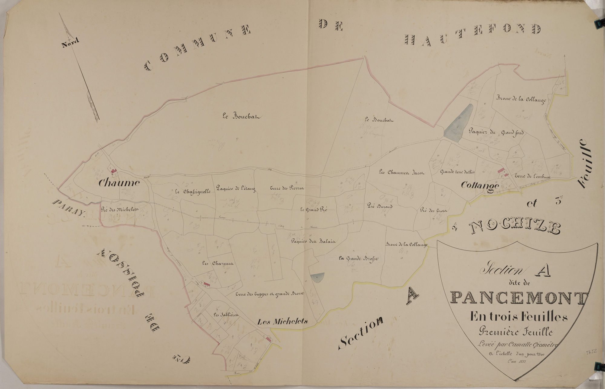 Nochize - PANCEMONT