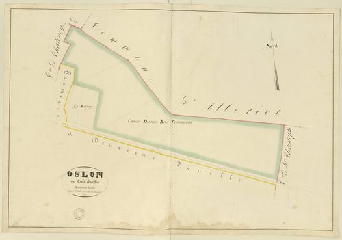 Oslon - A3