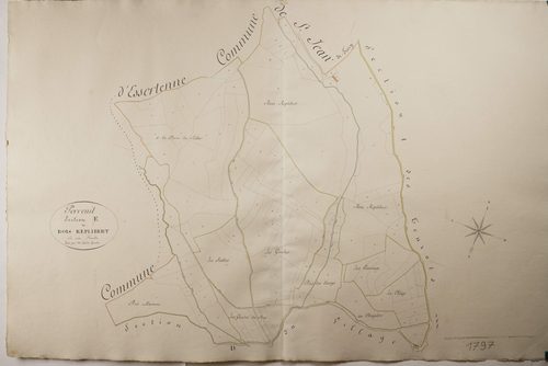 Perreuil - LE BOIS REPLIBERT