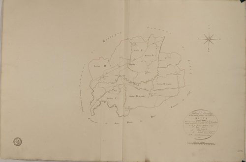 Ratte - Toutes sections