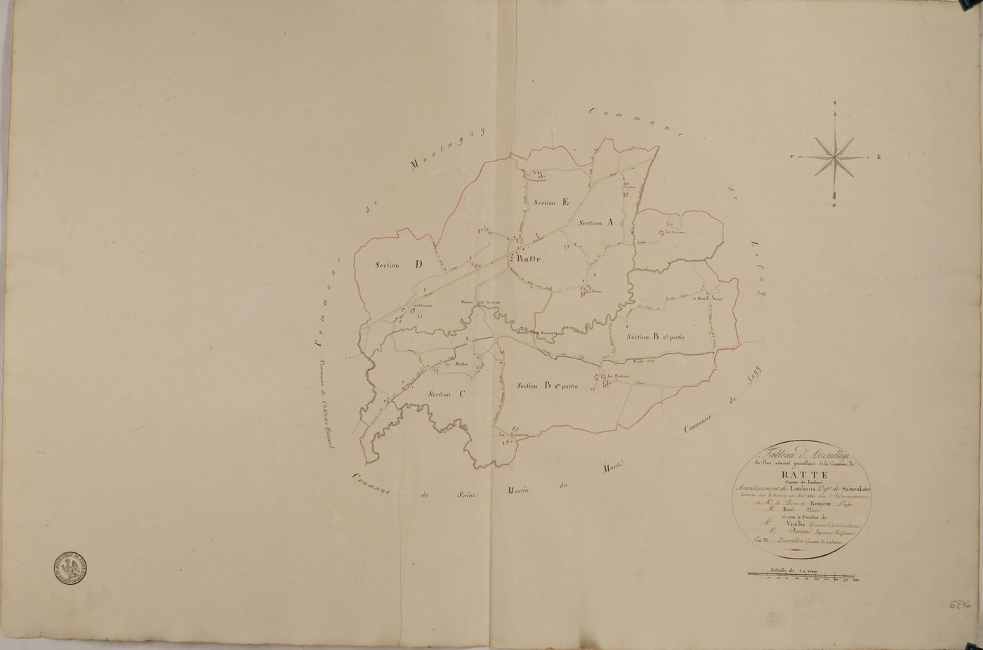 Ratte - Toutes sections