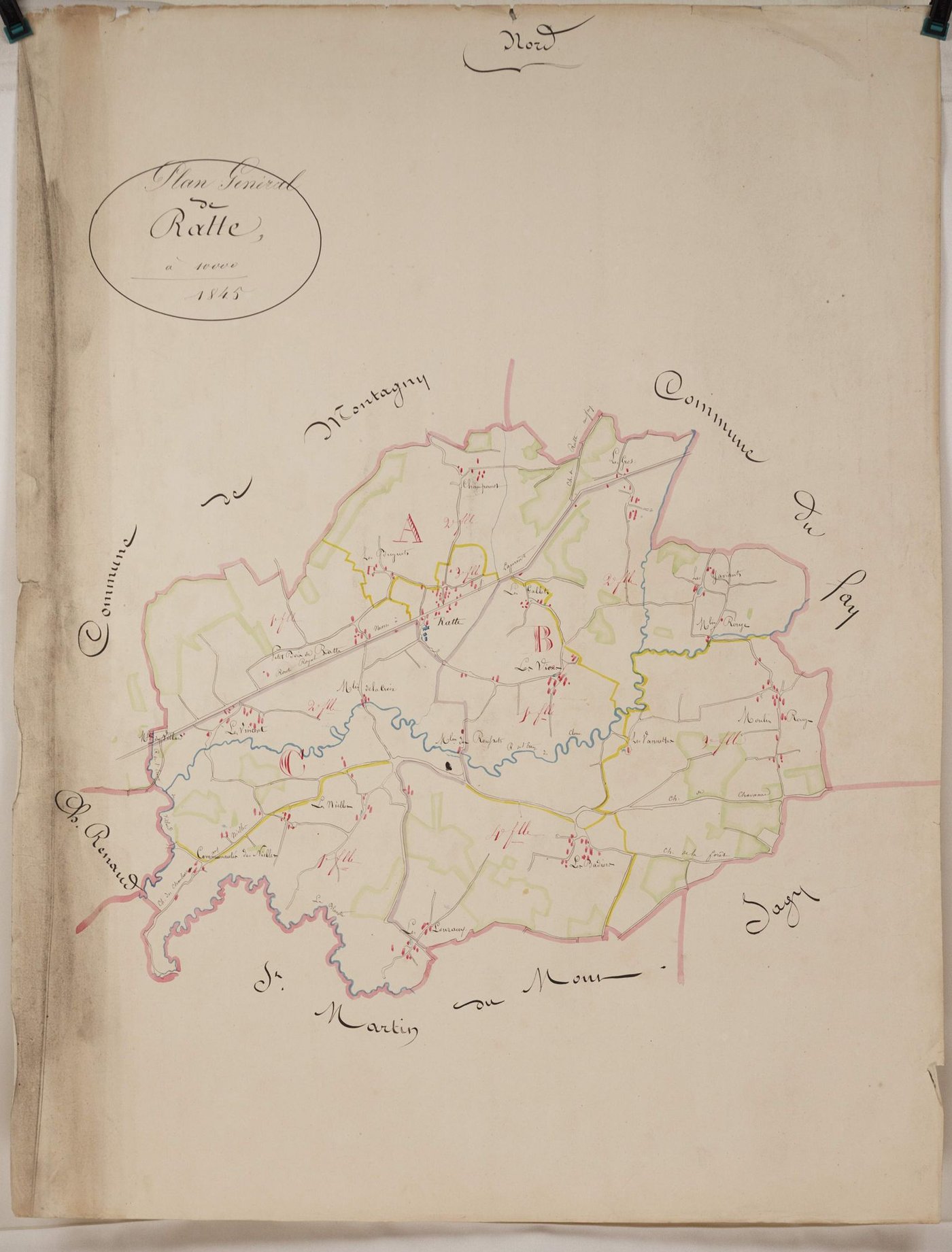 Ratte - Toutes sections