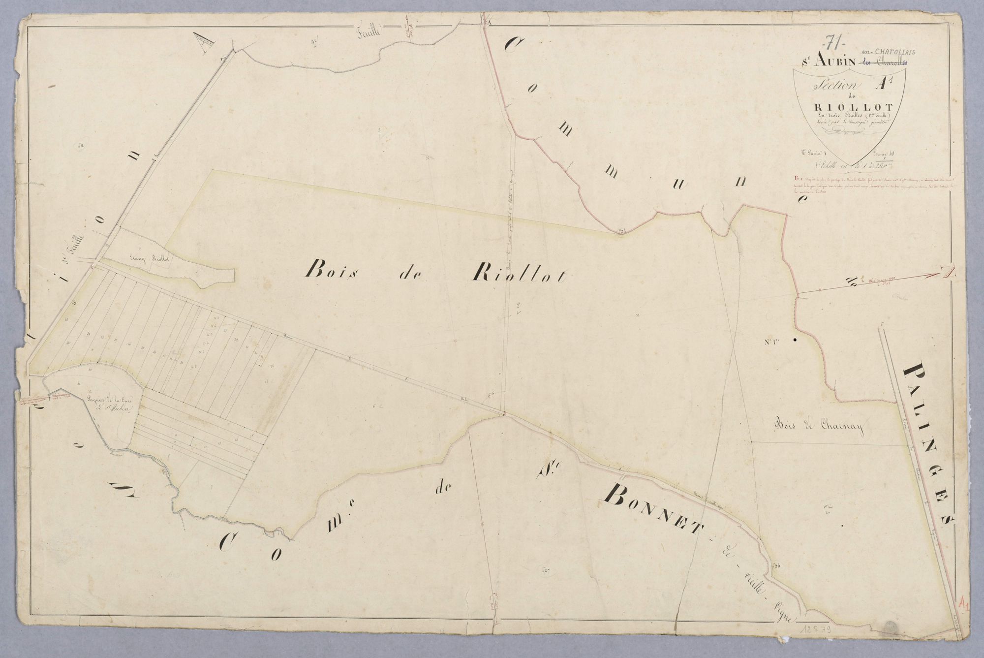 Saint-Aubin-en-Charollais - RIOLLOT