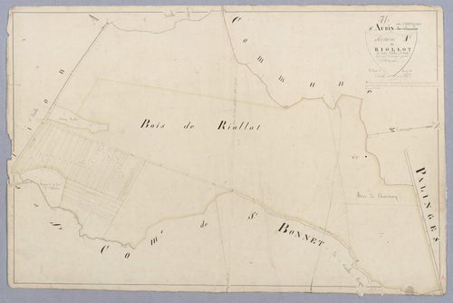Saint-Aubin-en-Charollais - RIOLLOT