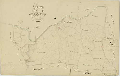 Saint-Christophe-en-Brionnais - FOUGERE, MUSSY