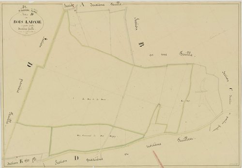 Saint-Germain-des-Bois - LES BOIS LADAME