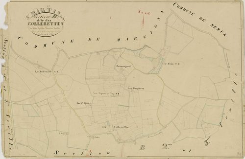 Saint-Martin-du-Lac - LES COLLERETTES