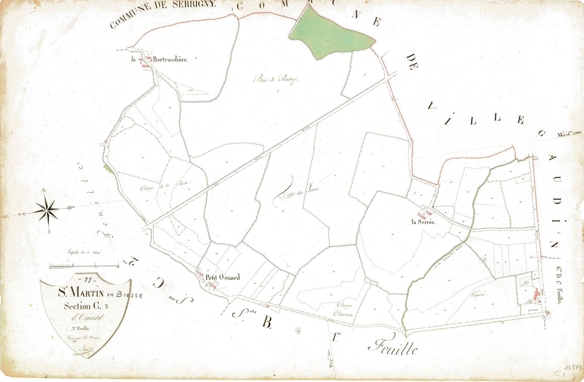 Saint-Martin-en-Bresse - OSNARD
