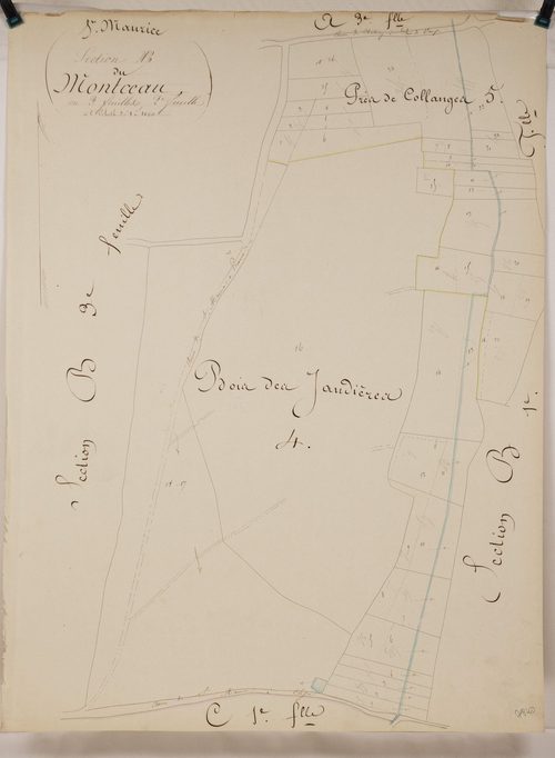Saint-Maurice-de-Satonnay - LE MONTCEAU