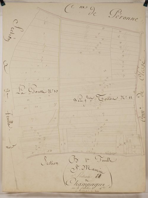 Saint-Maurice-de-Satonnay - CHAMPAGNE