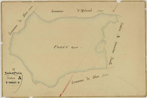 Saint-Prix - LA FORÊT