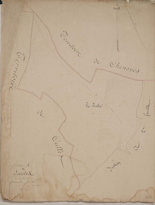 Saules - SAULES