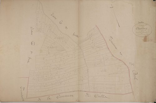 Saules - CHATENAY