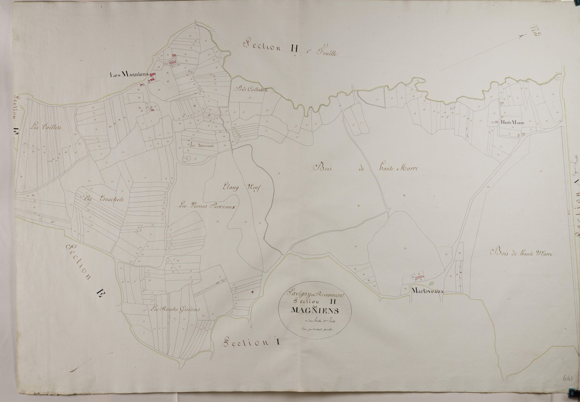 Savigny-en-Revermont - LES MAGNIENS