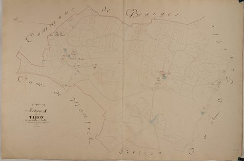 Savigny-sur-Seille - THION