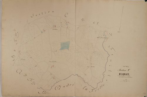 Savigny-sur-Seille - ARBAIN