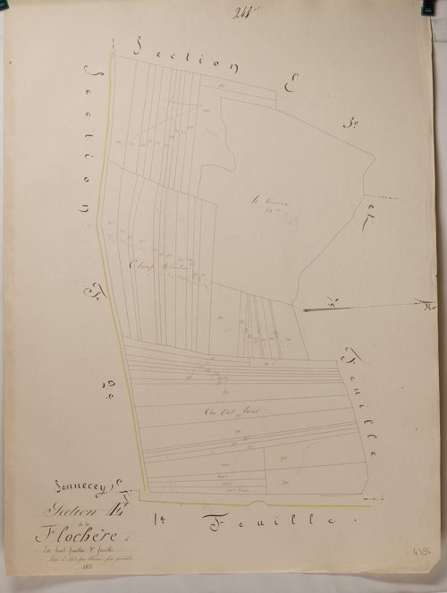 Sennecey-le-Grand - LA FLOCHÈRE