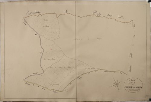 Suin - MÉGINE