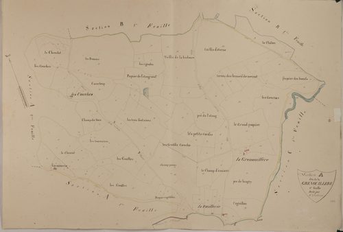 Bragny-en-Charollais - LA GRENOUILLÈRE