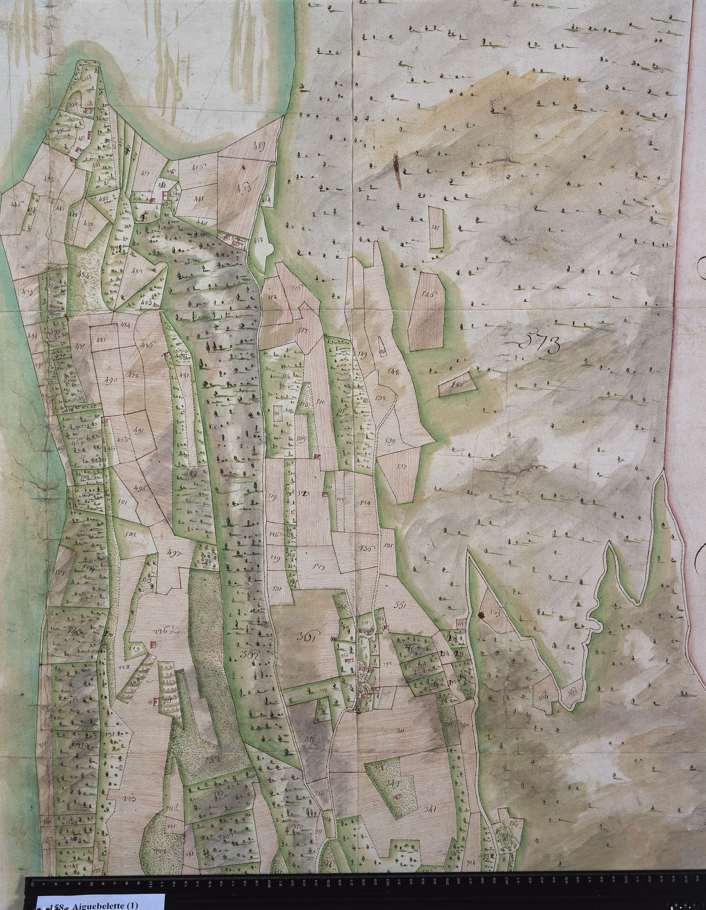 Aiguebelette-le-Lac - Copie de la mappe originale (plan cadastral) de la commune d'Aiguebelette. Signée Cocelli, directeur du bureau de la péréquation.